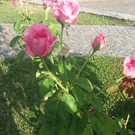 Panzió La Valletta Serravalle Scrivia