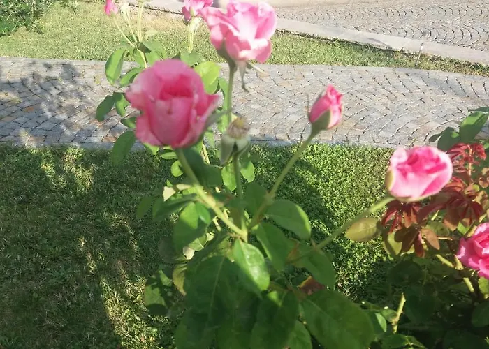 Oda ve Kahvaltı La Valletta Serravalle Scrivia